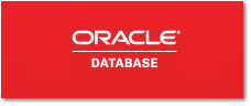 ORACLE データベース構築ソリューション ORACLE データベース構築ソリューション